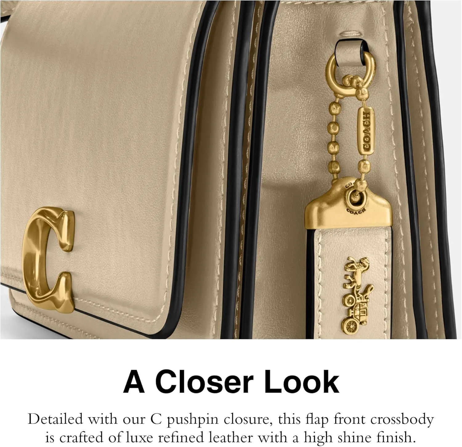 Coach Women's Luxe Refined Calf Leather Bandit Crossbody